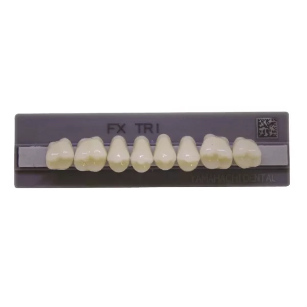 Dente FX Tri Posterior Superior - Kota