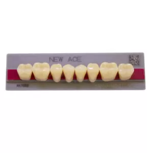 Dente New Ace Posterior Inferior