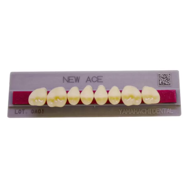 Dente New Ace Posterior Superior