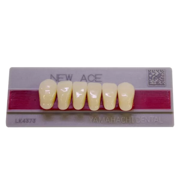 Dente New Ace Anterior Inferiro