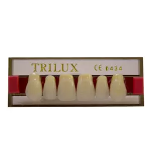 Dente Trilux Anterior Superior