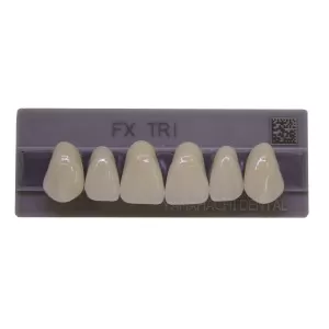 Dente FX Tri Anterior Superior - Kota